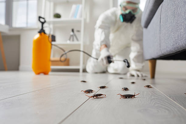 Trusted Fumigation Services service in Redington Shores, FL - Nex Pest Control